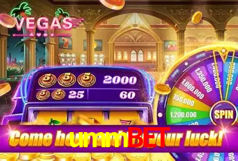 A Experiência Imersiva dos Cassinos Ao Vivo no ummbet